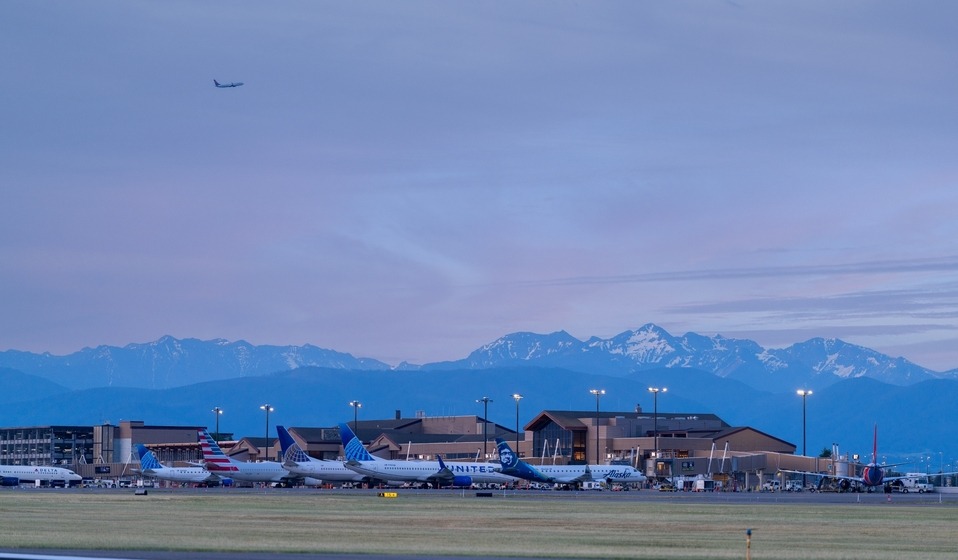 Airline tails with aircraft parked at gates 