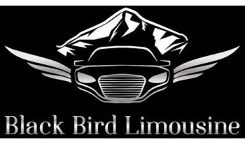 Black Bird Limousine